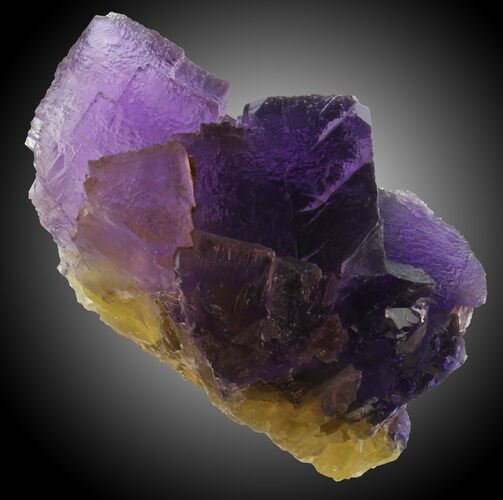 Cubic Purple/Yellow Fluorite - Cave-in-Rock, Illinois #31357